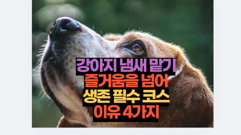 강아지 냄새 맡기 즐거움을 넘어 생존 필수 코스 이유 4가지