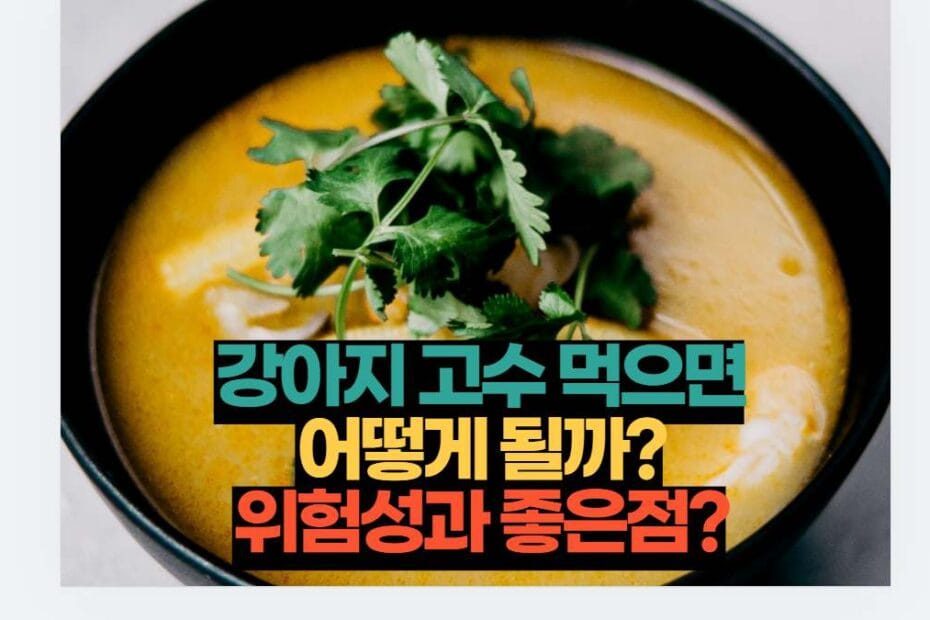 강아지 고수 먹으면 어떻게 될까? 위험성과 좋은점?