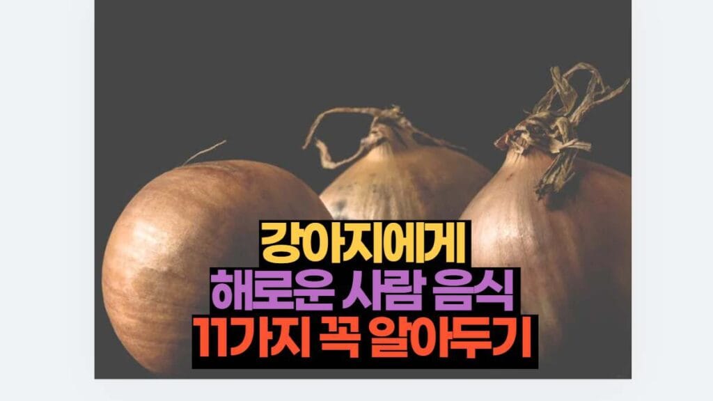 강아지에게 해로운 사람 음식 11가지 꼭 알아두기 2 강아지에게 해로운 사람 음식 11가지 꼭 알아두기