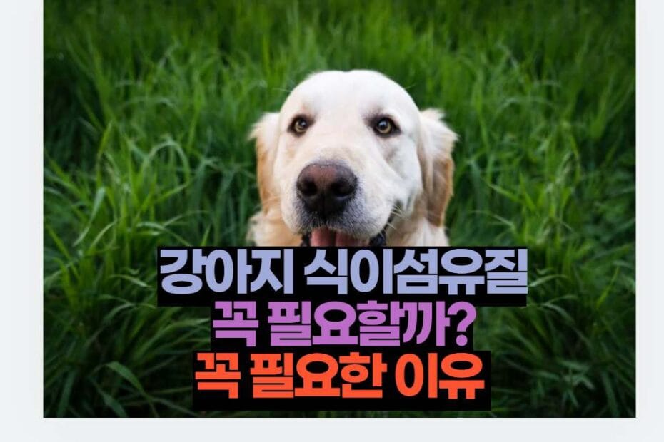 강아지 식이섬유질 꼭 필요할까? 꼭 필요한 이유 