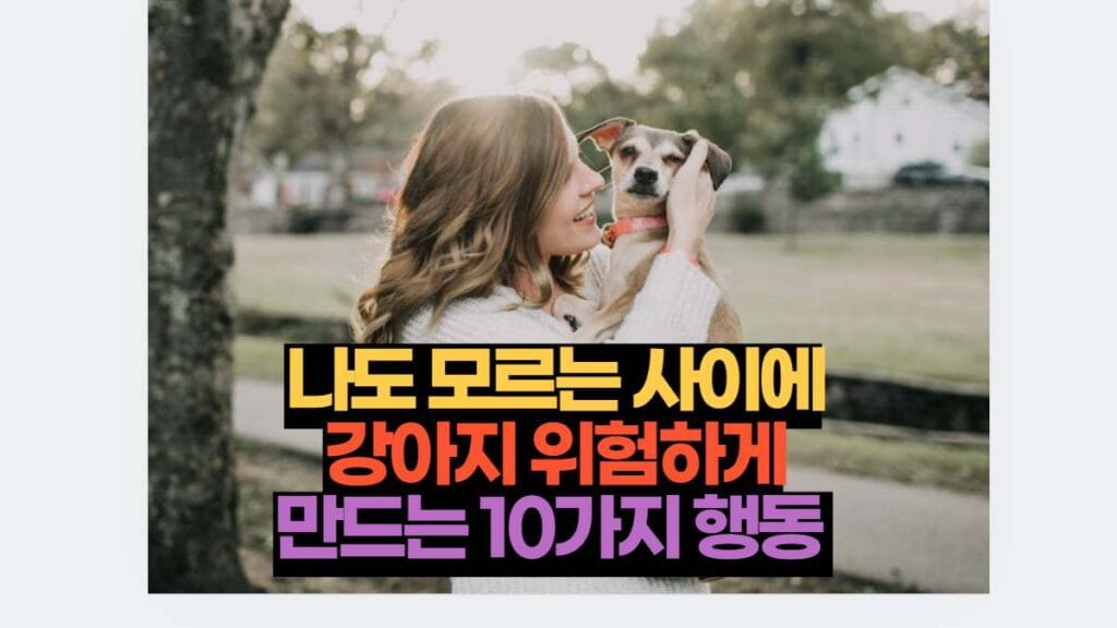 나도 모르는 사이에 강아지 위험하게 만드는 10가지 행동 2 나도 모르는 사이에 강아지 위험하게 만드는 10가지 행동