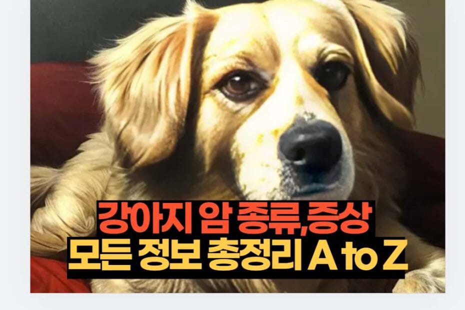 강아지 암 종류,증상  모든 정보 총정리 A to Z