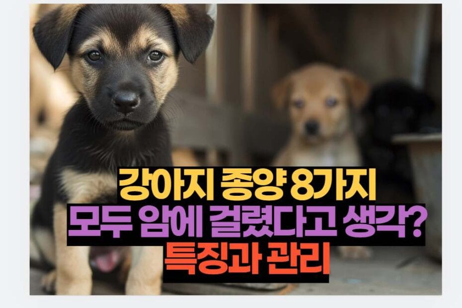 강아지 종양 8가지 모두 암에 걸렸다고 생각? 특징과 관리