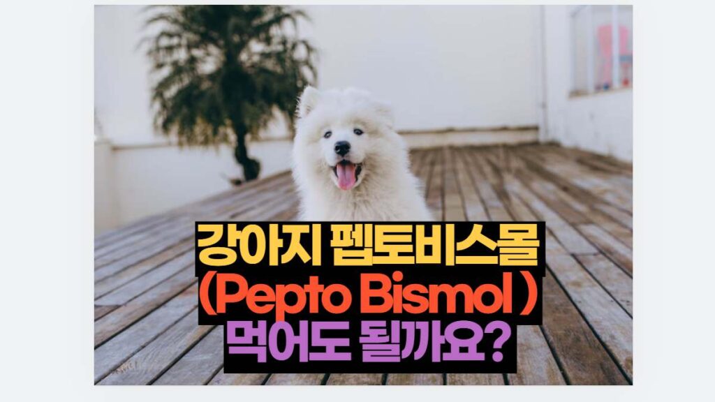 강아지 펩토비스몰  (Pepto Bismol )  먹어도 될까요? 