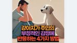 강아지가 주인의  부정적인 감정에  반응하는 4가지 방법