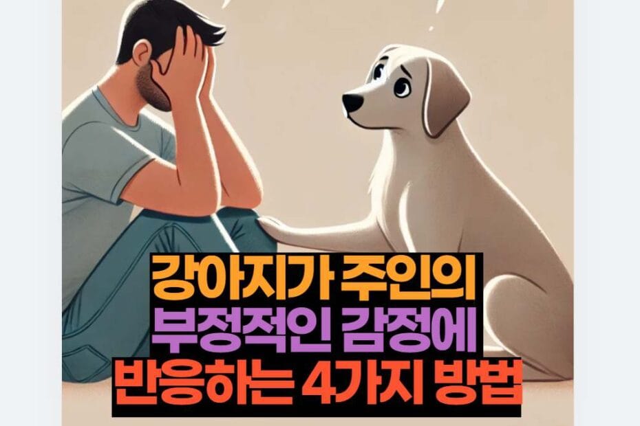 강아지가 주인의  부정적인 감정에  반응하는 4가지 방법