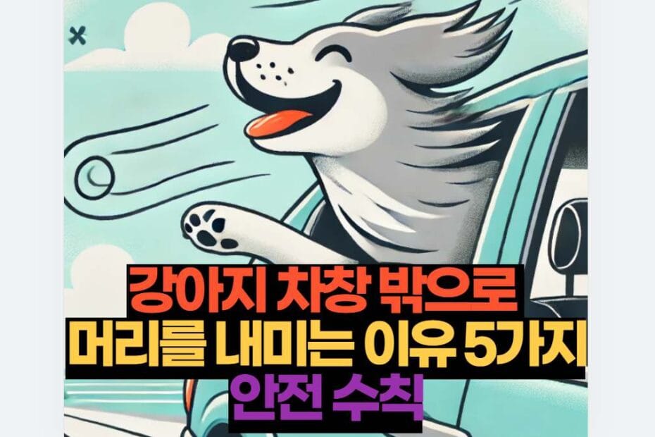 강아지 차창 밖으로  머리를 내미는 이유 5가지 안전 수칙