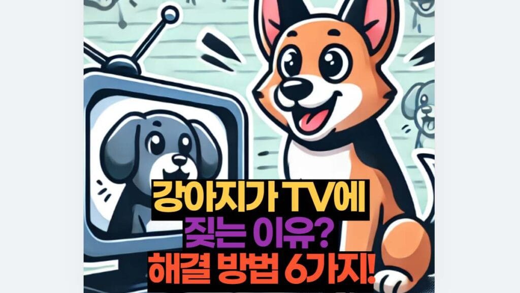 강아지가 TV에  짖는 이유?  해결 방법 6가지!