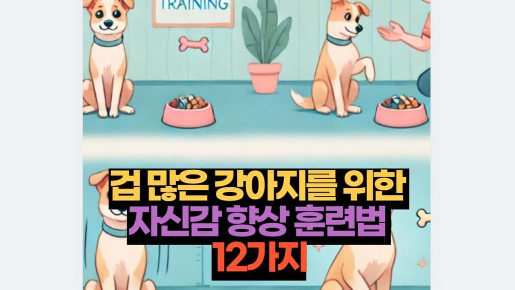 겁 많은 강아지를 위한  자신감 향상 훈련법  12가지