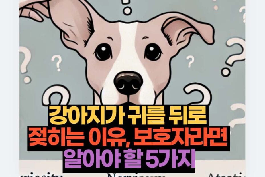 강아지가 귀를 뒤로  젖히는 이유, 보호자라면  알아야 할 5가지