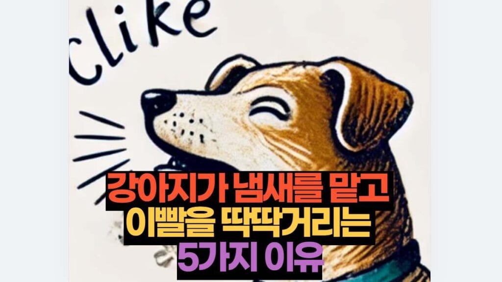 강아지가 냄새를 맡고 이빨을 딱딱거리는 5가지 이유 2 강아지가 냄새를 맡고 이빨을 딱딱거리는 5가지 이유