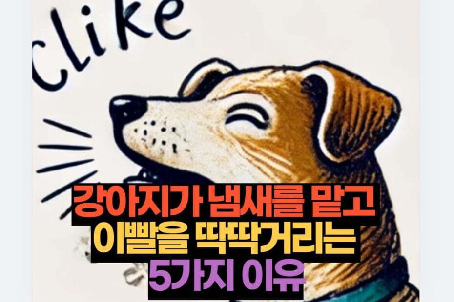 강아지가 냄새를 맡고  이빨을 딱딱거리는  5가지 이유