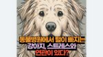 동물병원에서 털이 빠지는 강아지, 스트레스와  연관이 있다?