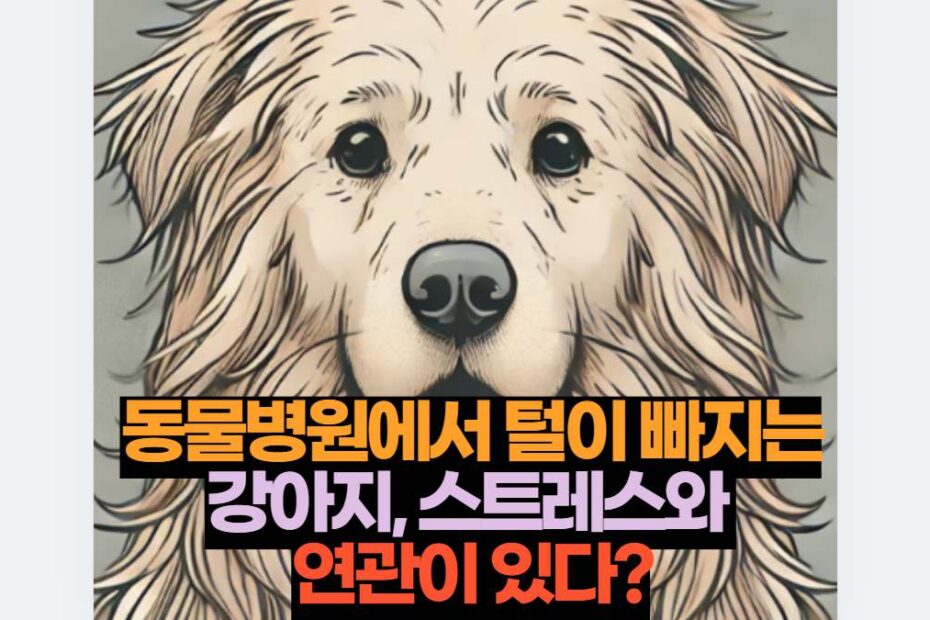 동물병원에서 털이 빠지는 강아지, 스트레스와  연관이 있다?